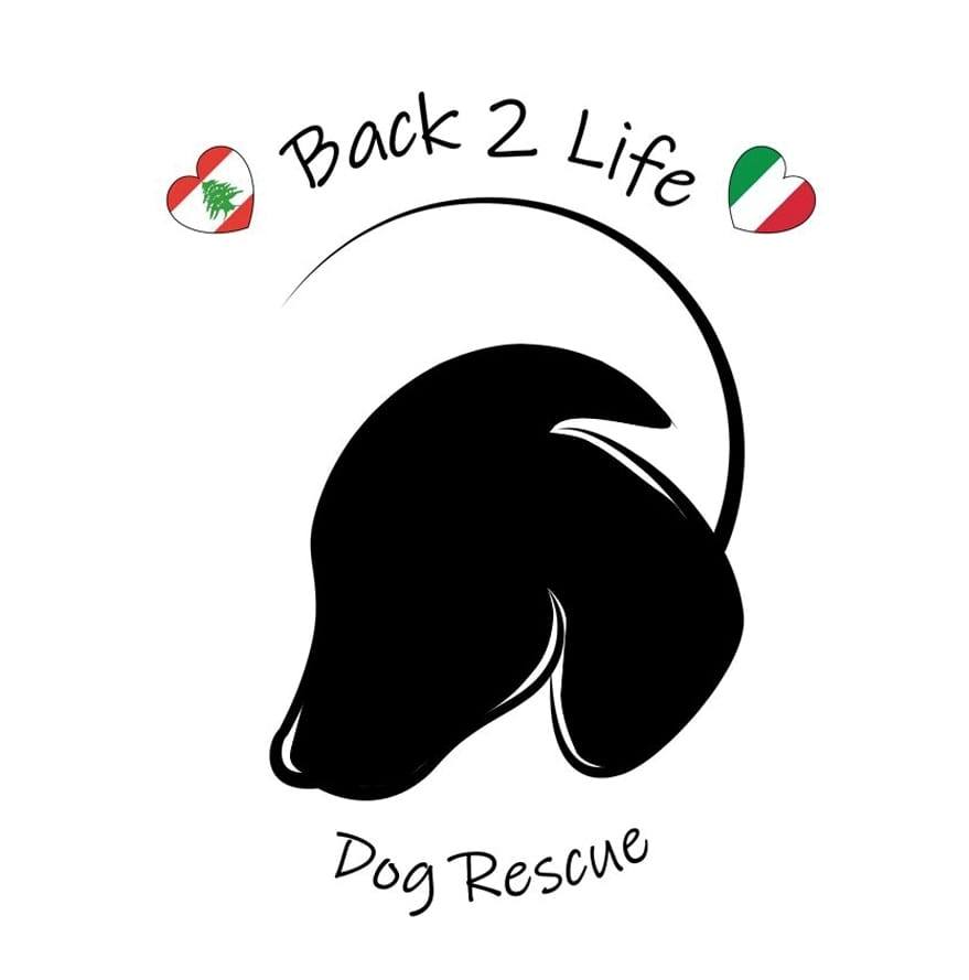 back2life Logo