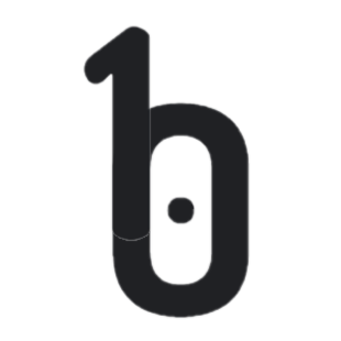 bainry Logo