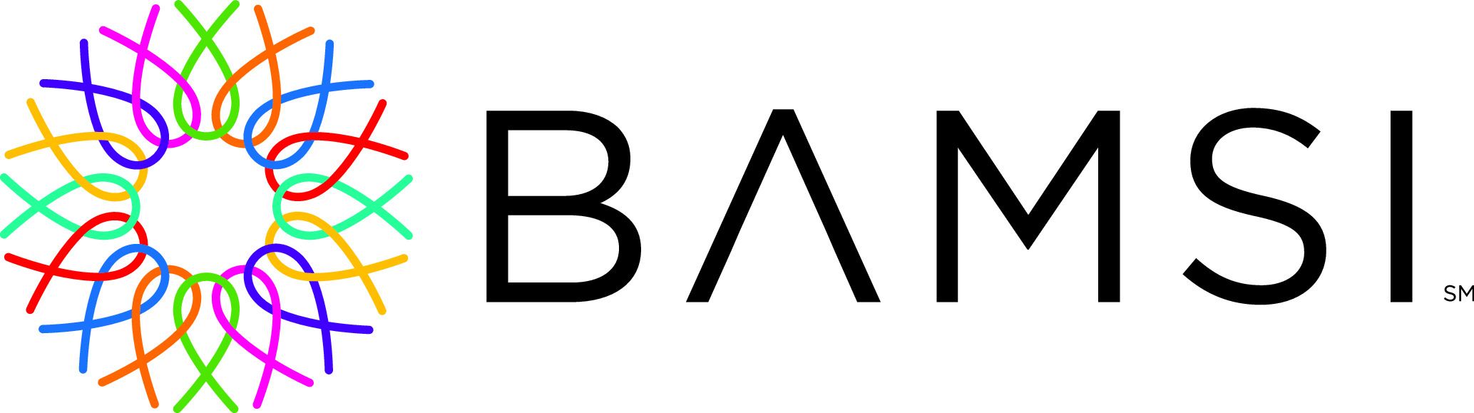 BAMSI Logo