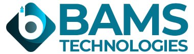 Bams Technologies Private Limited Logo
