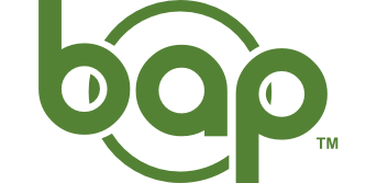 bapsolution Logo