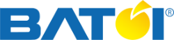 Batoi Systems Private Limited Logo