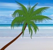 Beach Store Online Logo