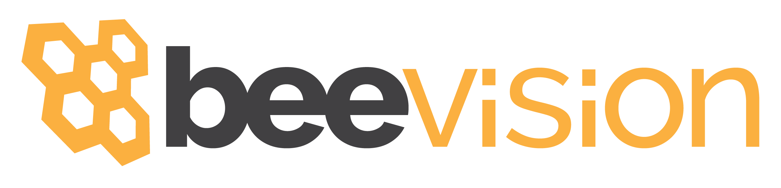 beevision Logo