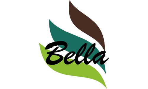 Bella Sands Ltd Logo