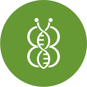 betabugs Logo