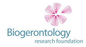 Biogerontology Research Foundation Logo