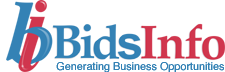 Bidsinfo.com Logo