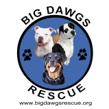 bigdawgsrescue Logo