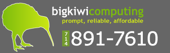 bigkiwi Logo