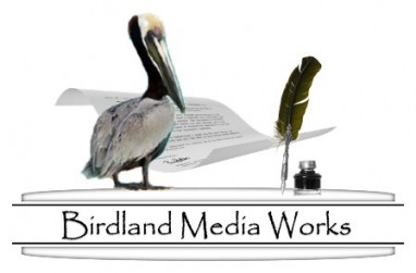 birdlandmediaworks Logo