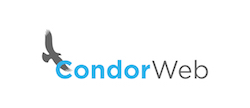 CondorWeb Logo