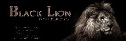 Black Lion Virtual Book Tours Logo