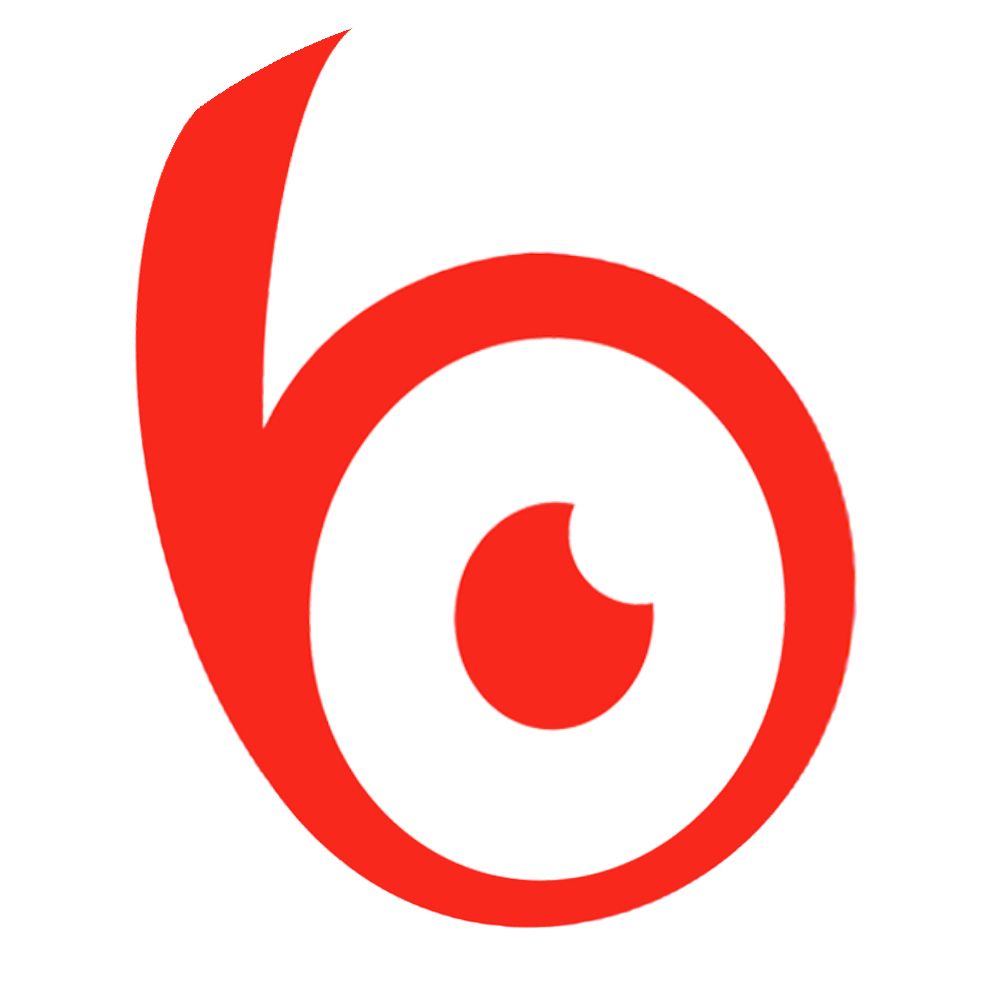 BlinkIt Logo