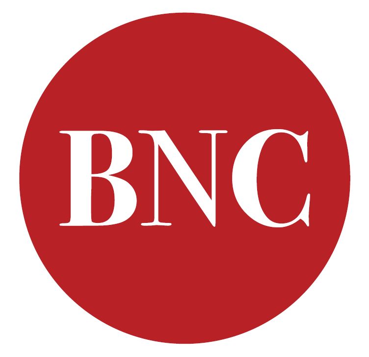 Blockchain News Report Logo