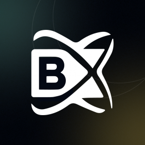 BlockchainX Logo