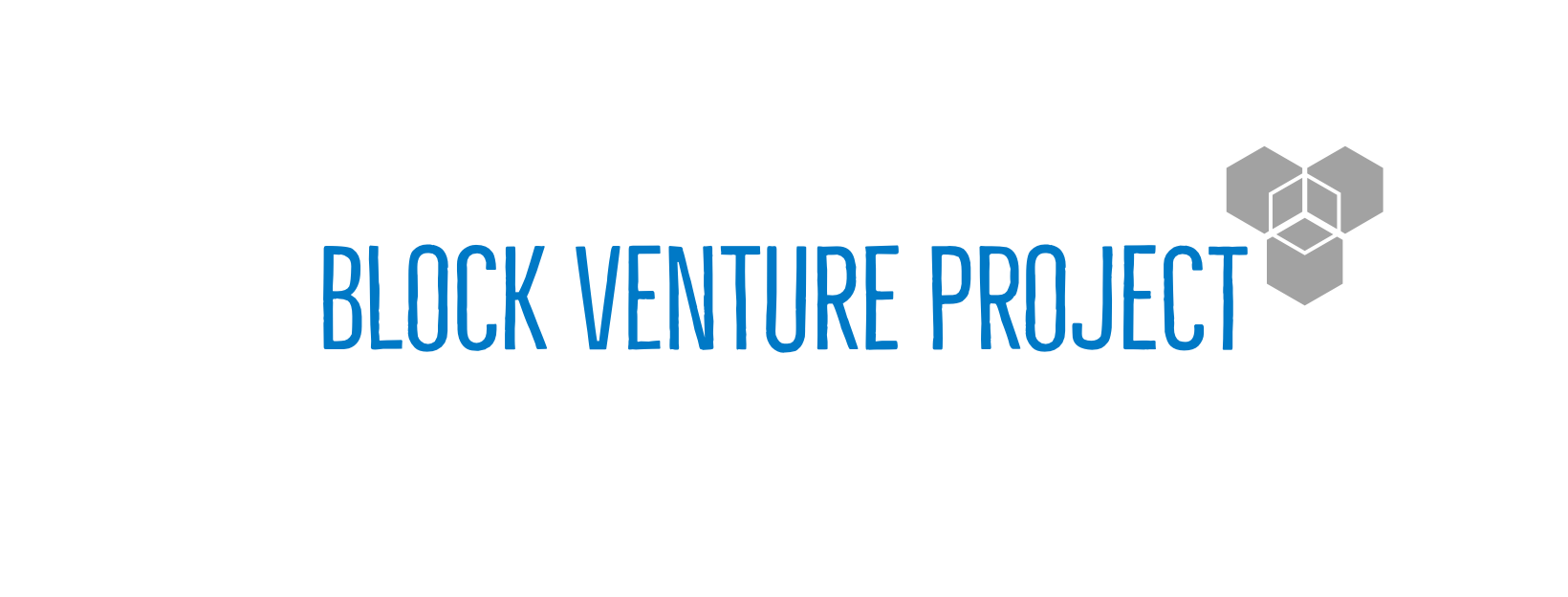 blockventureproject Logo