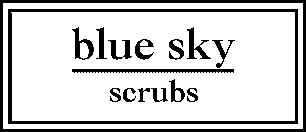 blue_sky_scrubs Logo