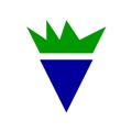bluehorseradish Logo