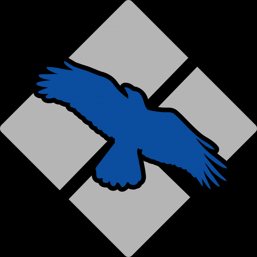 Blue Raven Inc. Logo
