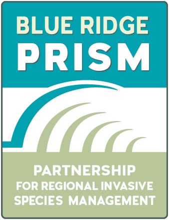 blueridgeprism Logo