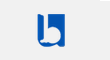 Blue Sales & Marketing Pvt Ltd Logo