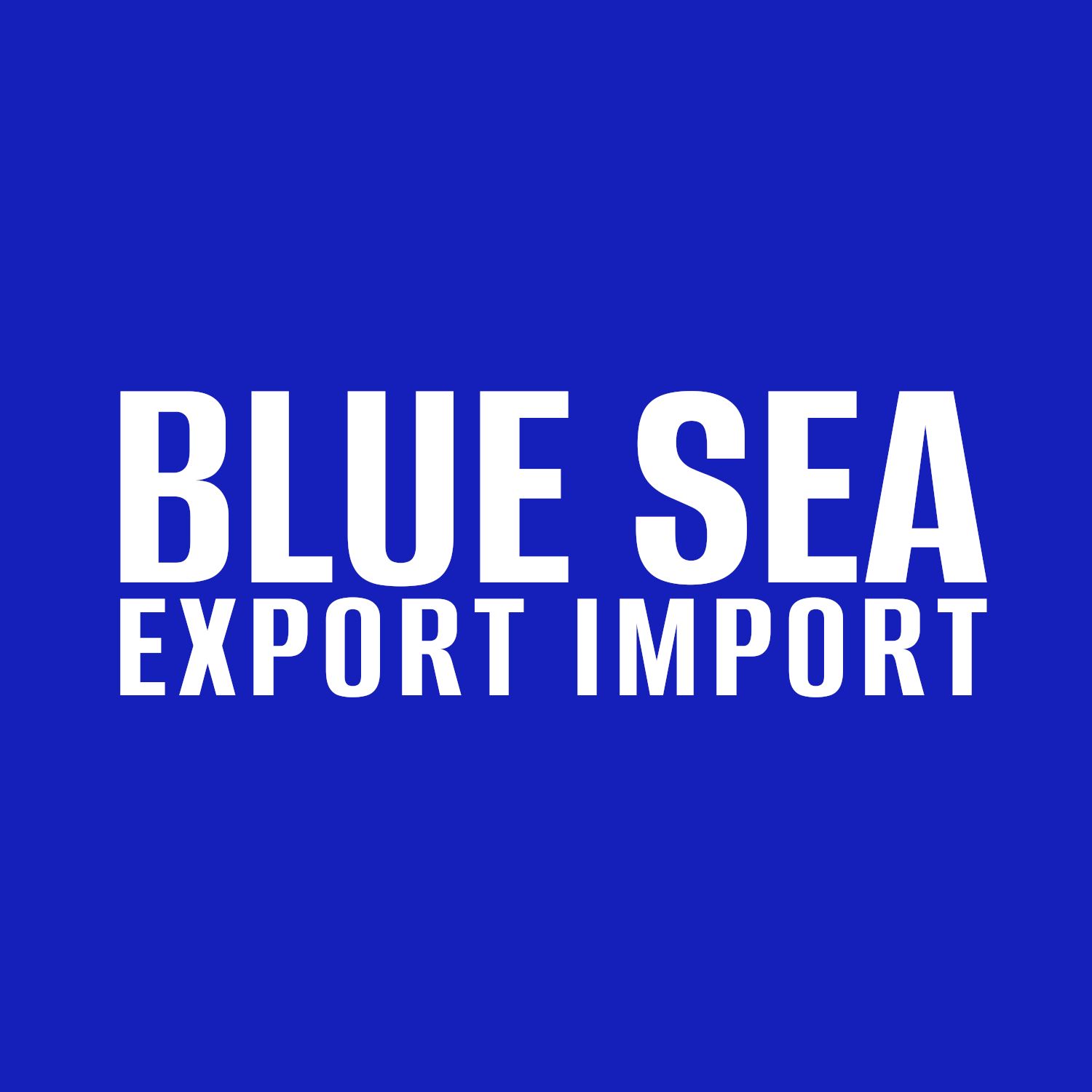 BLUE SEA EXPORT IMPORT S.R.L. Logo