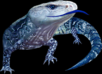 bluetongue1 Logo