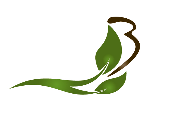 blyssbrand Logo