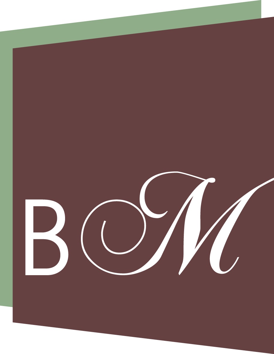 bmfinance Logo