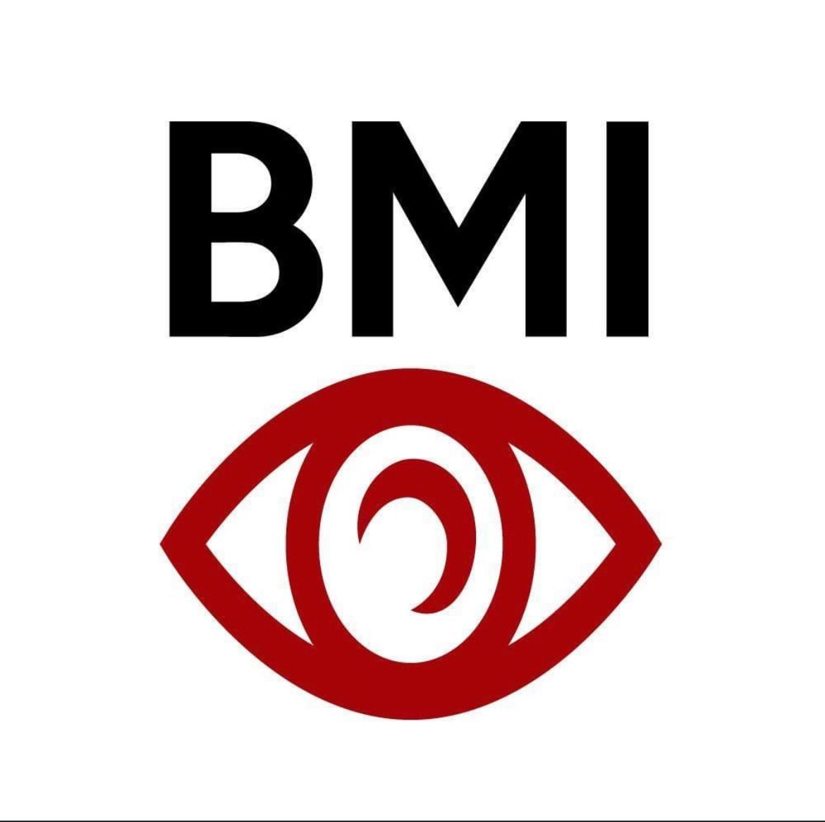 B.M. Investigations, Inc. Logo