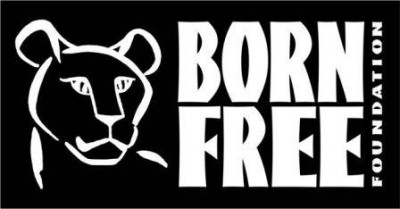 bornfreekenya Logo