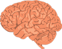 Brain Injury Lawyer Logo