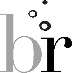 brianroddaconsulting Logo
