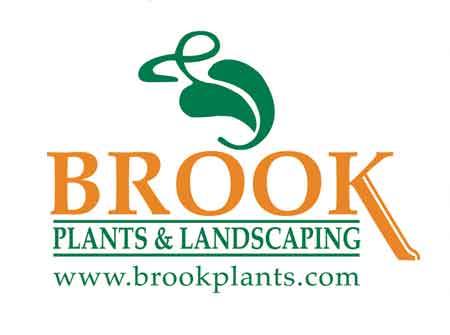 brookplants Logo