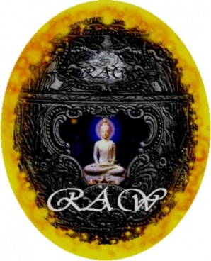buddhasauthor Logo