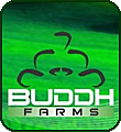 buddhfarms Logo