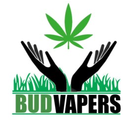 Bud Vapers Makes a Big Grand Appearance at Comic Con Show -- Bud Vapers ...