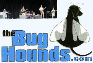 bughounds Logo