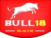 bull18cleaners Logo