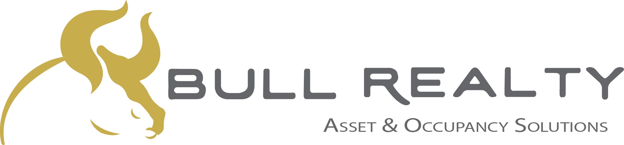Bull Realty Logo