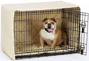 Midwest Dog Crate with Pet Dreams Cratewear 