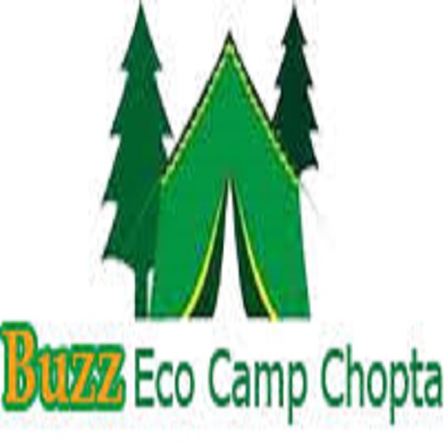 Buzz Eco Camp Logo