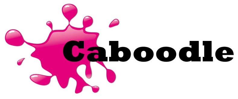 Caboodle Financial Services Logo