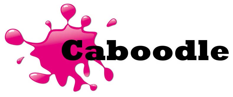 caboodle definition