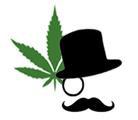 cannabisdomainnames Logo