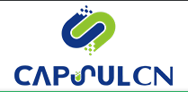 capsulcn Logo