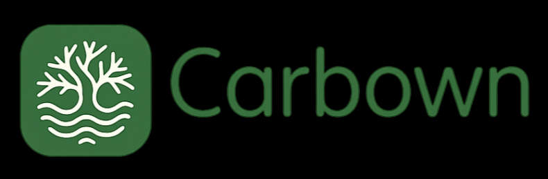 CARBOWN CREDIT, LLC Logo