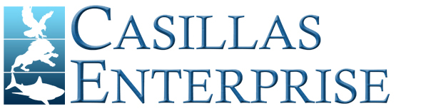 Casillas Enterprise Inc Logo