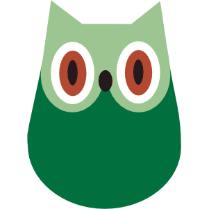 Casual Owl Logo